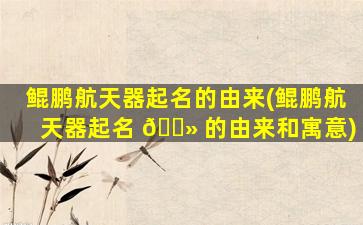 鲲鹏航天器起名的由来(鲲鹏航天器起名 🌻 的由来和寓意)
